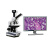 金之昱  单目生物显微镜 学生实验室显微镜电子显微镜(不含显示器）可配平板电脑   JZY-02