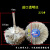 6mm柄磨料丝花头崖柏根雕木雕红木打磨花头抛光轮电钻电磨用磨头 钢丝花头(细丝)