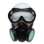 定制防毒面具口罩防有毒气体全面罩60070600全脸防护面具防尘口罩 10只民用kn95口罩