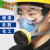 防毒面具全面罩打农药呼吸防护防烟防尘面罩化工工业气体喷漆专用 防尘款10个（不含眼镜）