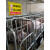 养殖重地警示牌闲人免进提示安全标识牌养猪重地鱼塘小龙虾培育基 YZC006-PVC塑料板 30x40cm
