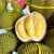 泰国莲新鲜水果一整个带壳整果巴掌头果现货 托曼尼榴莲1-2个装（5-6斤）