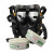 霍尼韦尔（Honeywell）防毒面具防多气体有机无机酸性碱性硫化氢G110+1710641 1套装