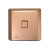 GUANGGU 光谷 嵌入式双光纤面板 GT-GD01 金色系列   FTTH/FTTR 86型面板盒 双口SC/UPC光纤信息盒