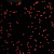 荧光聚苯乙烯微球量子点荧光PS微球荧光微塑料 10毫升 2.5%固含量 25mg/ml橙色