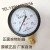 鹤山燃气表膜盒压力表YE100微压膜盒压力表杭州鹳山25kpa千帕 0--40kpa