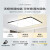 客厅吸顶灯主卧室吊灯具现代简约大气遥控智能厨房平板长方 简约方30厘米白光送圆25厘米白
