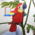 童年无限（ONSHINE）新款电动毛绒玩具鹦鹉 电动录音学说话鹦鹉 扭动 扇翅膀玩具 绿鹦鹉 版(学说话)