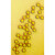 染色ps微球单分散聚苯乙烯染色微球 50毫升 2.5%固含量50mg/ml 尺寸颜色可