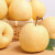 砀宁果品砀宁果品 百年老树梨酥梨青冠梨新鲜水果梨子 酥梨3斤