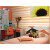 爱柏彩色条纹壁纸地中海现代简约酒店装饰温馨卧室床客厅电视背景墙纸 26806橙色条纹