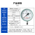 匡建仪表（CONJANT）Y-100GW 耐高温压力表0-0.4mpa 蒸汽锅炉专用	