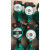定制手水泵16屏蔽泵 增压泵暖气锅炉循环泵 威乐RS25/6