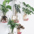 完壮【新款】能挂墙上的花盆创意水培玻璃花瓶悬挂式透明插 馒头12厘米+无痕钉