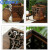 蓝鲸环卫 大号摇盖带卡口 摇盖式木质复古木纹中式垃圾桶LJHW-9020