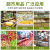 谋福（CNMF）水果超市扎口机 塑料袋封口机器 捆菜连卷袋打包机(桔色封口机+铝钉2000枚)