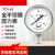 北京布莱迪BLD仪表YTH63F不锈钢气液油耐高温真空全钢指针压力表 025MPA现货