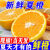 鲜澜 新鲜秭归夏橙酸甜橙子 当季现摘手剥脐橙果冻冰糖甜橙孕妇水果 5斤（60-75mm）