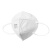 霍尼韦尔（Honeywell）KN95口罩H910P防尘口罩50只/盒防粉尘花粉耳带工业环保装