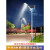 路灯6米新农村户外照明灯杆LED大功率超亮防水锂电 60W支架灯