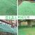 定制适用盖土网防尘网建筑工地绿网覆盖网绿化网裸土遮盖网绿色环保密目网 绿色5针8米宽30米长 绿色