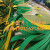 尼龙片基带高速耐磨传动带黄绿橡胶平皮带纺织龙带工业同步输送带 带