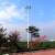 定制新农村户外防水路灯杆足球篮球场照明灯杆5米6米7米8米道路高 战狼款200w六头(不含杆)