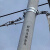 24芯光缆耐张串ADSS预绞丝耐张线夹48芯OPGW光纤架空拉线转角金具 300-400米跨距 ADSS光缆双绞丝-