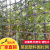 10年用不坏菜园栅栏专用塑料围栏网抗晒抗老化结实耐用防护网 2.0米高-25米长-加厚