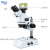 奥斯微（AOSVI） 专业光学三目体式显微镜接高清屏显示带拍照测量导出数据功能 T2-21TZ（上下光源/拍照测量 21.5寸屏）