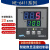 适用NE-6411V-2D(N)上海亚泰仪表温控器NE-6000现货NE-6411-2D NE-6411V=2D(N) K 600度