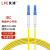 良浦 电信级单模万兆光纤跳线 单模单芯Φ3.0（LC-LC，9/125）50米 光纤线尾纤跳纤 NG-1LC-LC-S50