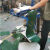 PVC输送平面带流水线工业皮带爬坡提升机防滑输送带传送耐磨皮带 PVC绿色平面
