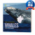 英文版 Face to Face with Whales 与鲸鱼面对面  国家地理儿童百科 英文原版 进口原版书籍