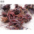 贵州新鲜红禾麻根 中药材红活麻红火麻小红麻农产品纯根生货500克