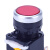 沸耐笙 G-0221 阀门配件平头按钮开关 按钮开关自复位红色LAY39B-LA38-11BN-R 1个