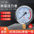 仪表不锈钢耐震压力表yn100油压液压表1.6mpa带油气压表 0-25MPA=250公斤 M20*1.5