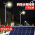 上海亚明太阳能LED路灯户外防水超亮300W庭院超亮新农村道路 8米路灯杆(一体直杆)镀锌钢材[