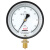 红旗（HONGQi）YB-150精密压力表 径向精度0.4级0-1mpa气压表水压表液压燃气表	