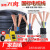 电缆RVV电缆线国标电线软线2芯3芯1/2.5/4/6/10平方电缆线户 国标2芯2.5平方1米价