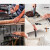 博世电动螺丝刀迷你小型充电式起子机螺丝批多功能工具Bosch GO 2 Bosch Go 2.0