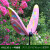 花园摆件仿真发光大蝴蝶雕塑户外园林景观草坪灯装饰园区夜光小品 荧光黄 HY1136-1