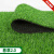 仿真草坪地毯幼儿园人造假草皮装饰阳台户外绿色围挡人工塑料绿植定做 2厘米加厚春草50平米