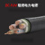 远东电缆ZC-YJV5芯2.5/4/6/10/16/25平方阻燃铜芯交联电力电缆线 ZC-YJV 5*2.5【10米】