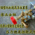 逸搏农用背负式机动喷雾器高压水泵/汽油机动力打药机割机改装泵 大连接盘