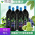 美国大溪地果汁诺丽果汁加蓝莓noni诺丽酵素原液饮料原装 两瓶装