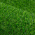 共泰 仿真草坪 春草15针网格背胶 场地铺设草坪地毯装饰园林绿化 1m²