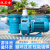 泳卫士游泳池循环过滤水泵按摩水疗冲浪水质过滤器吸污机抽水泵吸污泵 SK-2HP/1.5KW-220V（管径63)