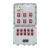 ZG-SENBEN BXMD防爆配电箱动力开关控制电控仪表接线增安正压型 （定制） 四回路+总开 