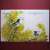 澳门邮票动物植物系列 澳门邮票1995年观赏鸟邮票小型张